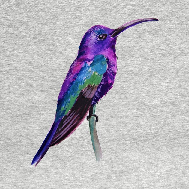 Violet Saberwing Hummingbird Watercolor Painting by julyperson